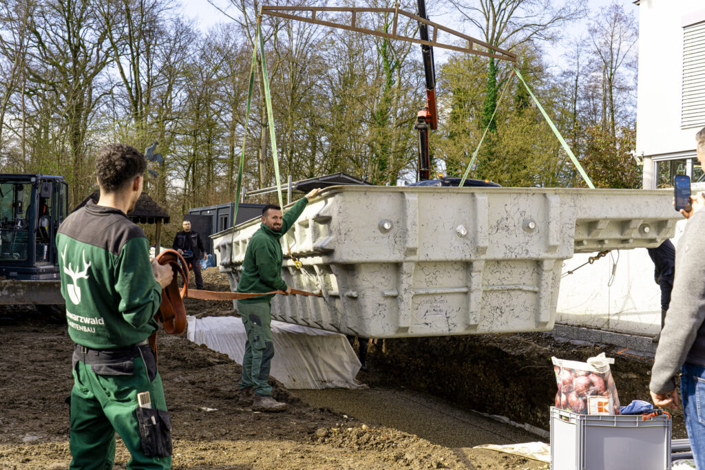 Ein Poolbecken hängt am Kran über der Baugrube, Mitarbeiter von Schwarzwald Gartenbau führen es an Gurten an seinen Platz.